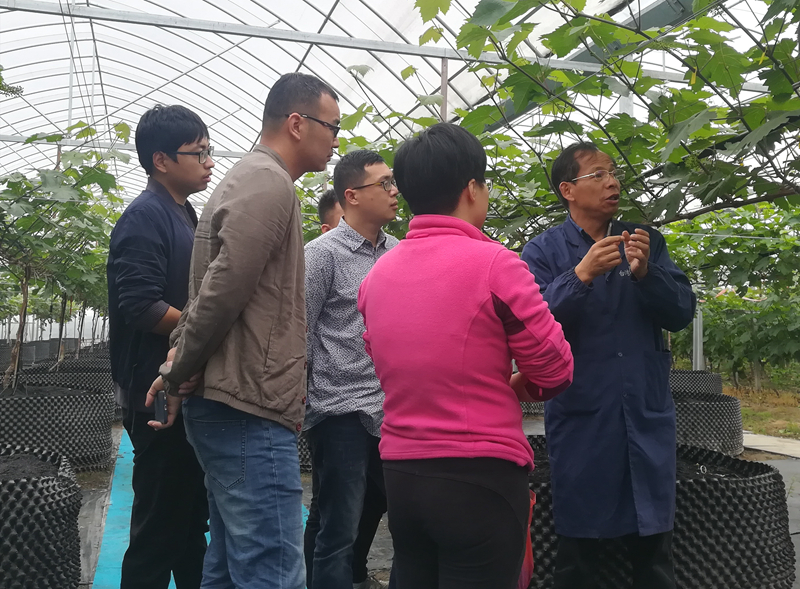 惠多利探索&ldquo;師徒制&rdquo;模式  培養(yǎng)實用型作物專家