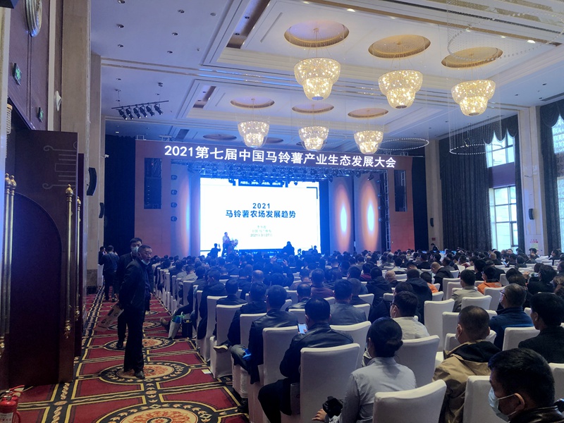 石原金牛特肥公司產(chǎn)品獲&ldquo;馬鈴薯作物明星產(chǎn)品&rdquo;稱號