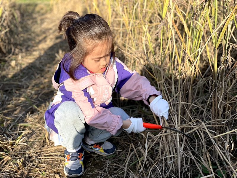 1637808338978597.jpg b7c842ff4f6e926ae967b2726359aed_副本.jpg