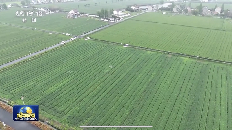 助農降本增收！浙農耘糧油未來農場獲央視《新聞聯播》報道
