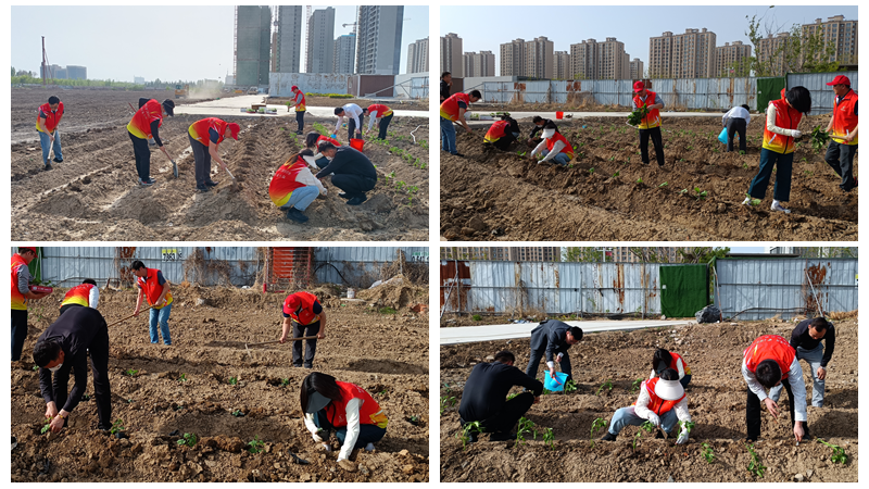 濟寧華都黨員公益服務隊開展&ldquo;植蔬助困&rdquo;公益活動