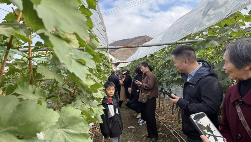 愛普科技組織開展農(nóng)業(yè)游學交流活動